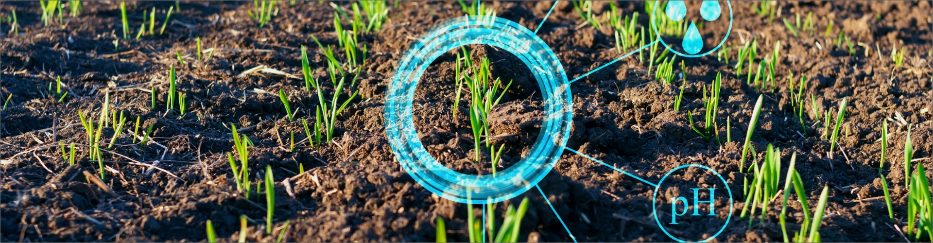 Hitachi Vantara and Golden Grove Nursery Harness Data-Driven Analytics for Smart Farming and More Sustainable Water Management 