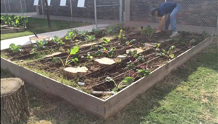 Oklahoma Outdoor Classroom and Garden