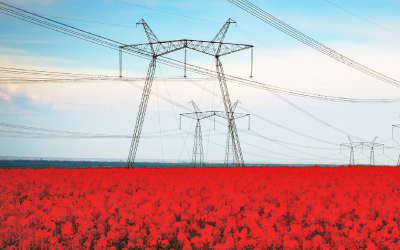 How Data-Driven Insights Can Bring Efficiency and Sustainability to the Electrical Grid